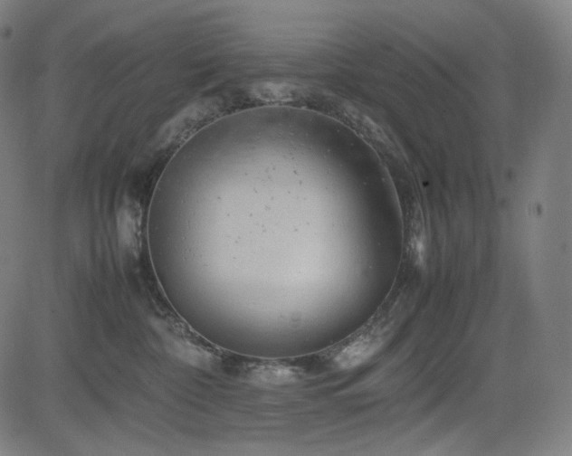 X0000085270332200703091358