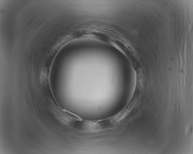 X0000085270333200703091358