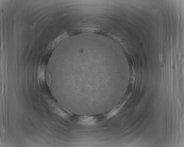 X0000085270334200703091358