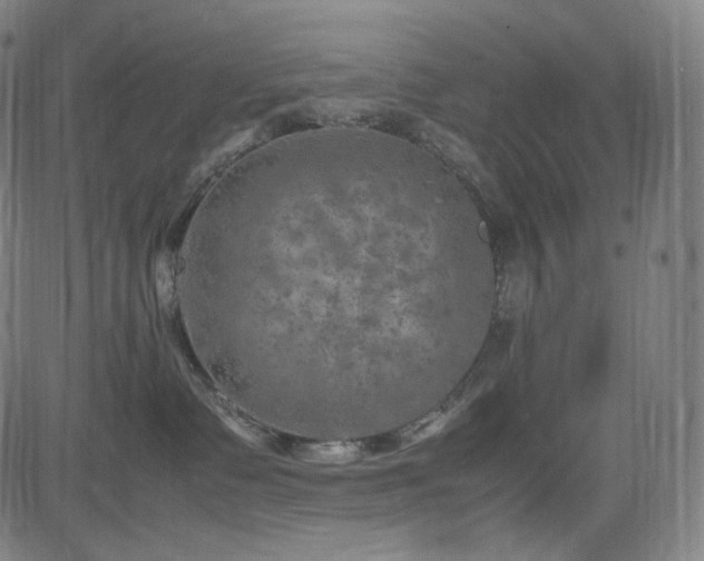 X0000085270335200703091358