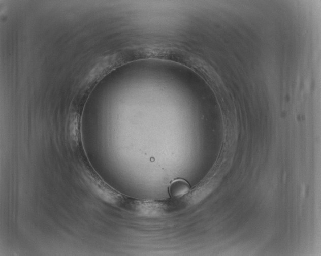 X0000085270336200703091358