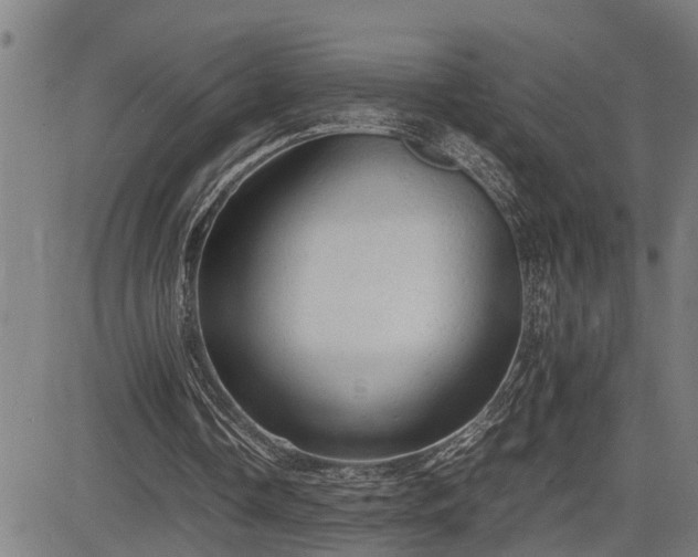 X0000085270338200703091357