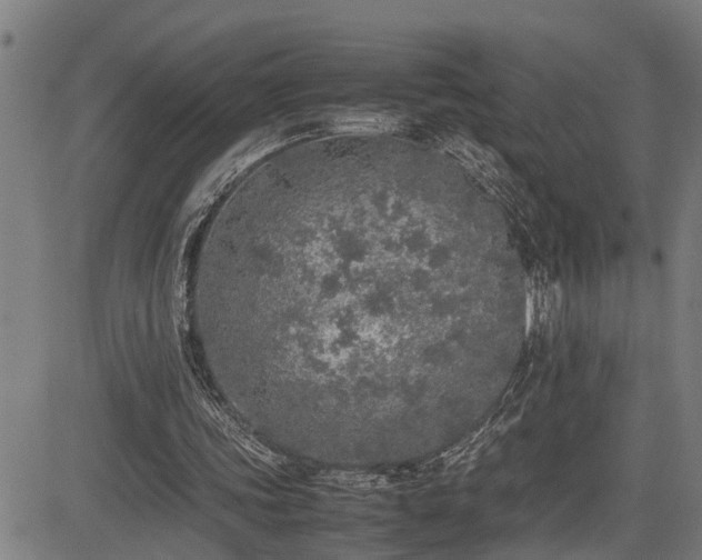 X0000085270339200703091357