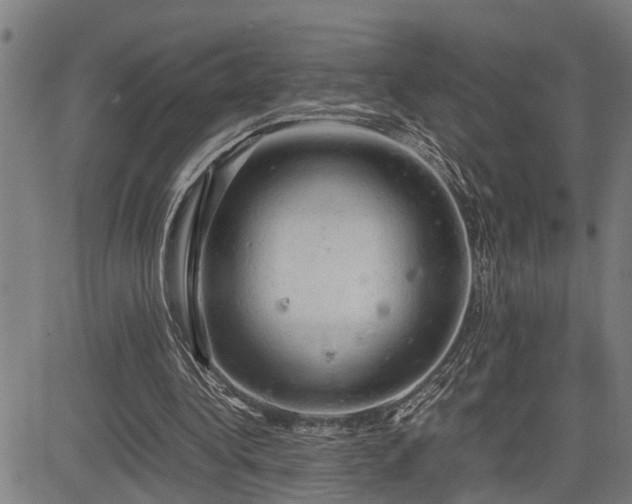 X0000085270340200703091357