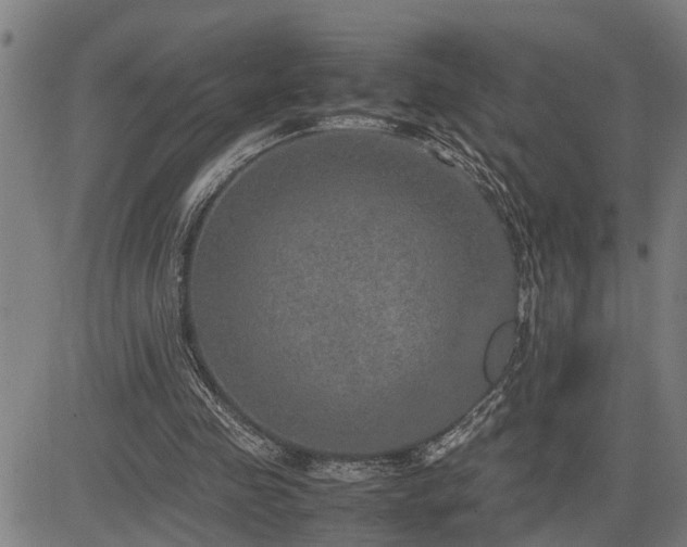 X0000085270341200703091357