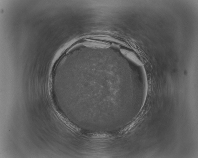 X0000085270342200703091357