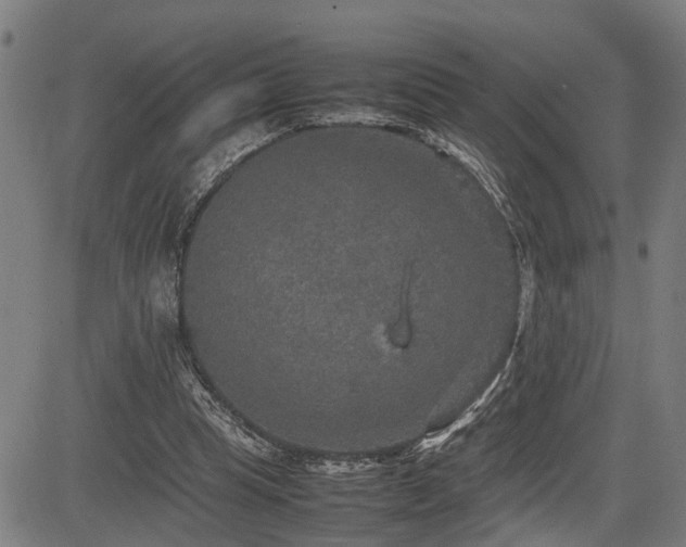 X0000085270345200703091357