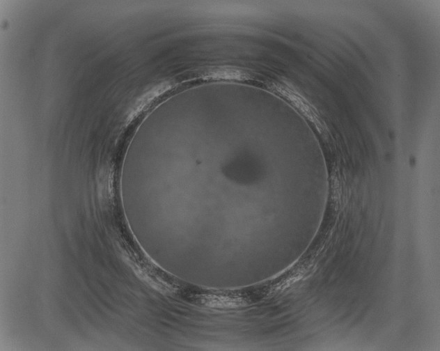 X0000085270347200703091357