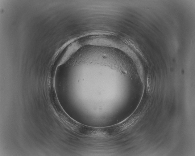 X0000085270348200703091357