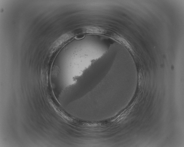 X0000085270349200703091357