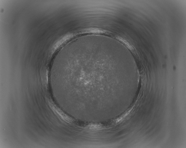 X0000085270350200703091357