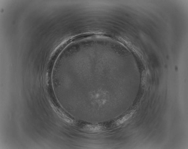 X0000085270351200703091357