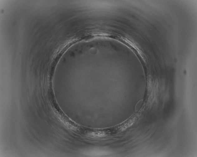 X0000085270353200703091358