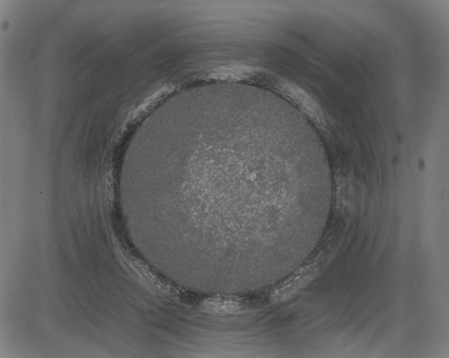 X0000085270354200703091358