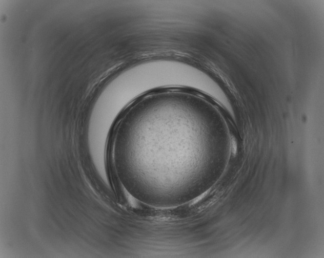 X0000085270356200703091358