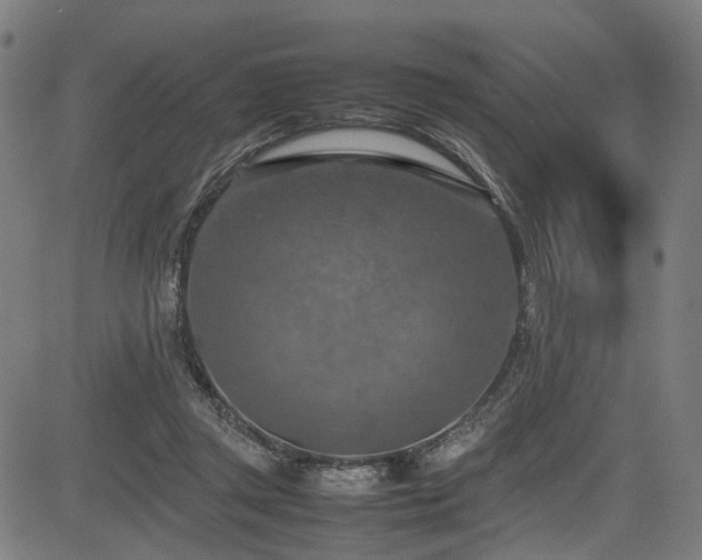 X0000085270357200703091358