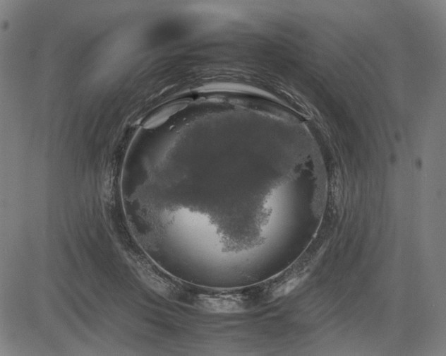 X0000085270359200703091358