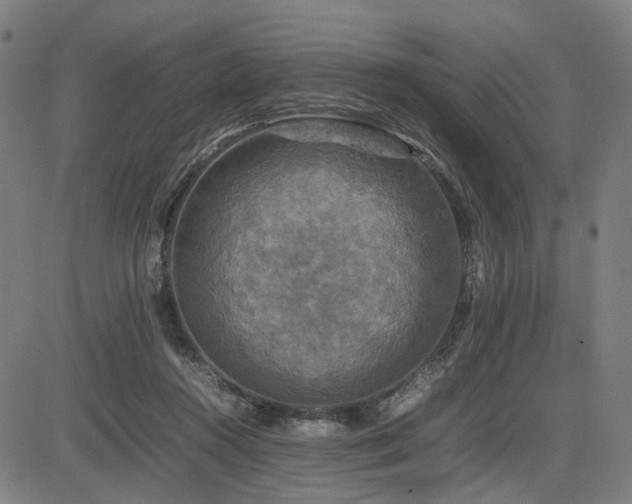 X0000085270360200703091358