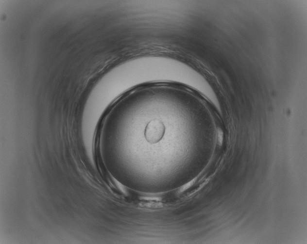 X0000085270362200703091358