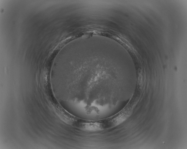 X0000085270363200703091358