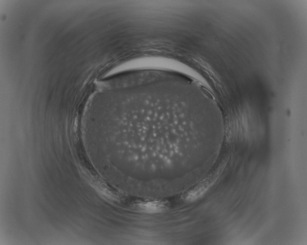 X0000085270365200703091358