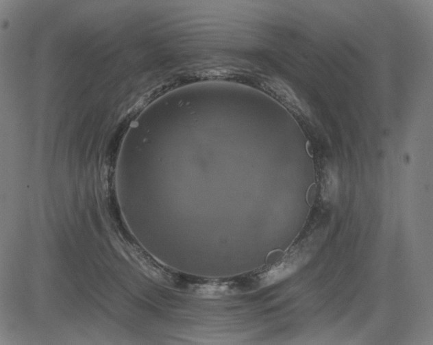 X0000085270366200703091358