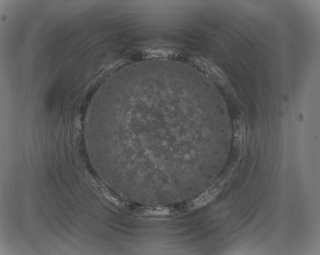 X0000085270369200703091358