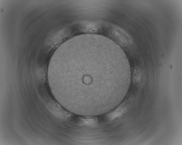 X0000085270370200703091358