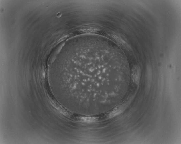 X0000085270371200703091358