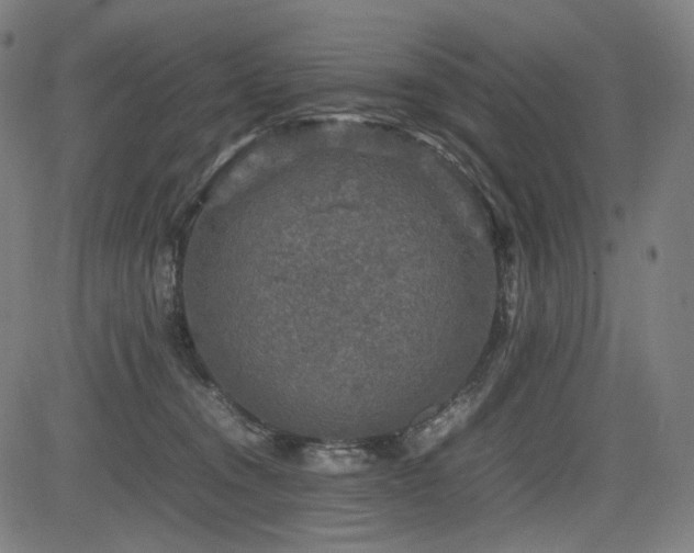 X0000085270372200703091358