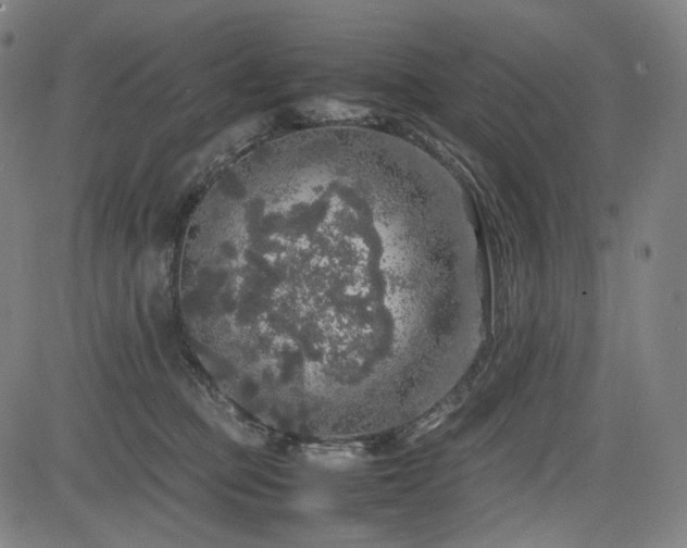 X0000085270373200703091358