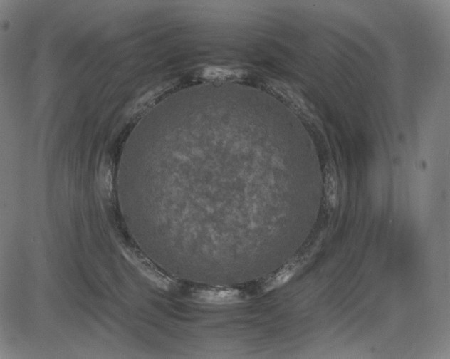 X0000085270375200703091358