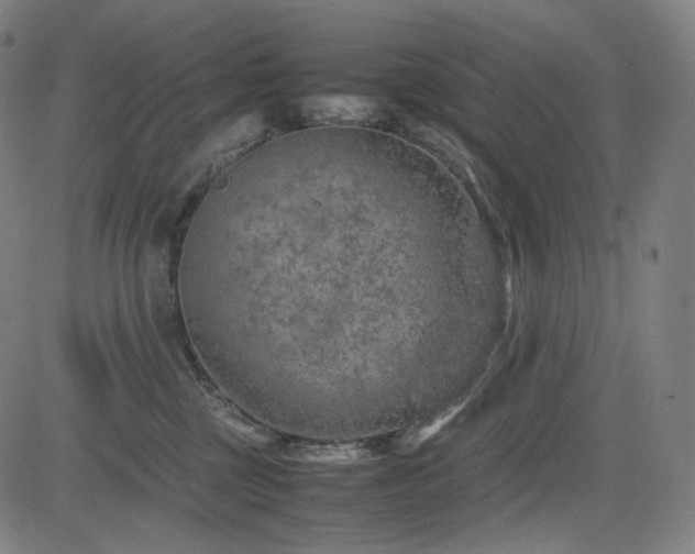 X0000085270377200703091358