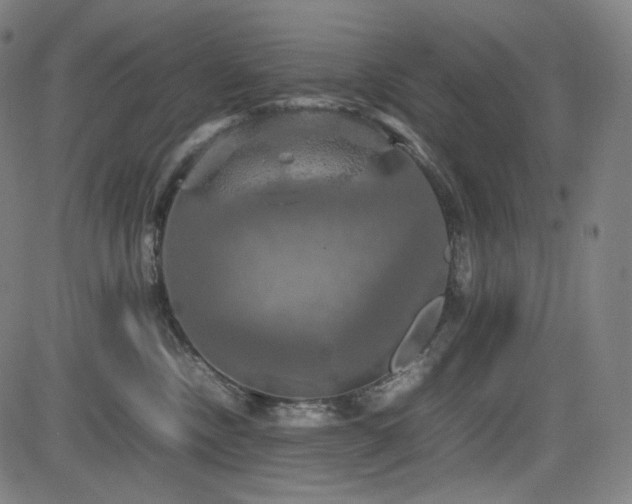 X0000085270378200703091358