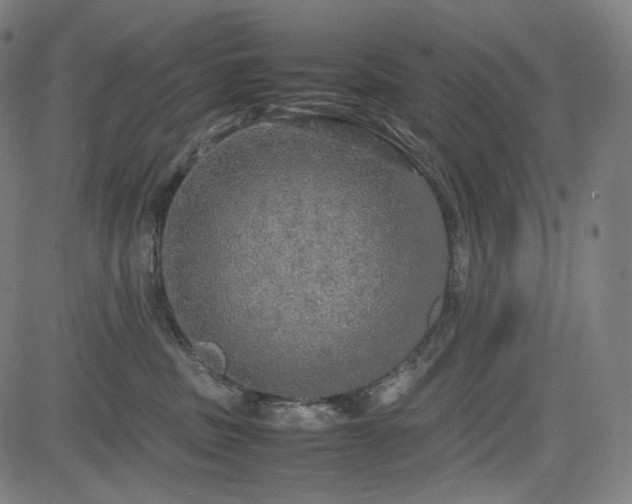 X0000085270379200703091358