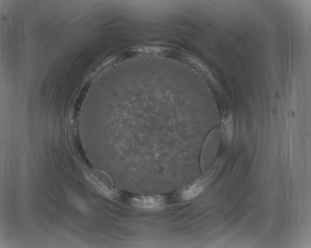 X0000085270381200703091358