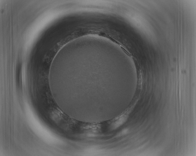 X0000085270383200703091358