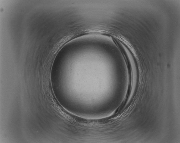 X0000085270385200703091357