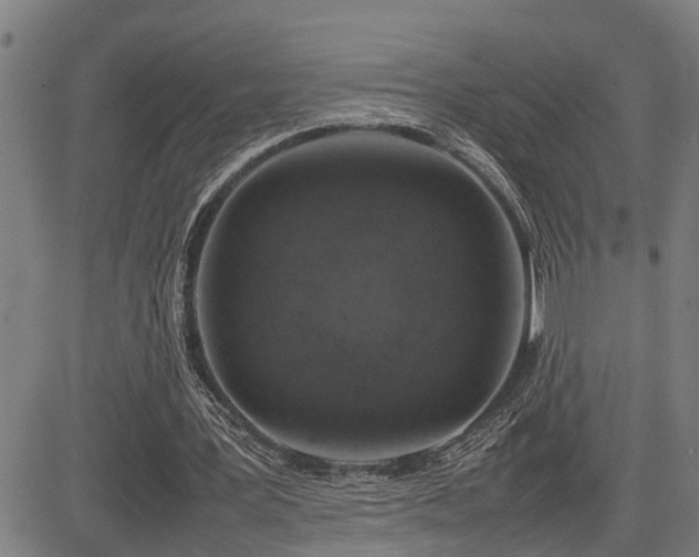 X0000085270387200703091357