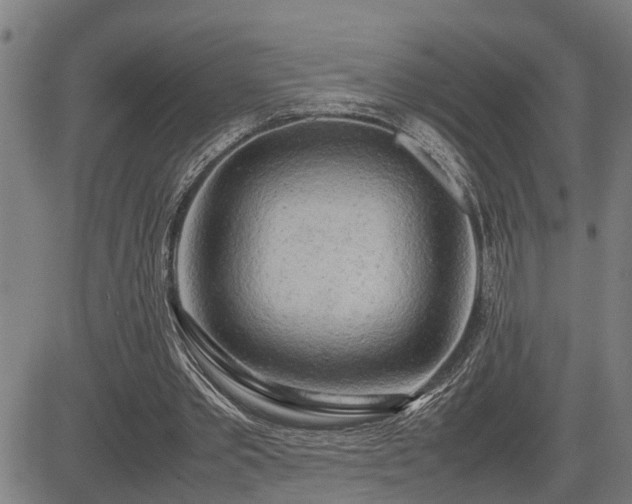 X0000085270389200703091357