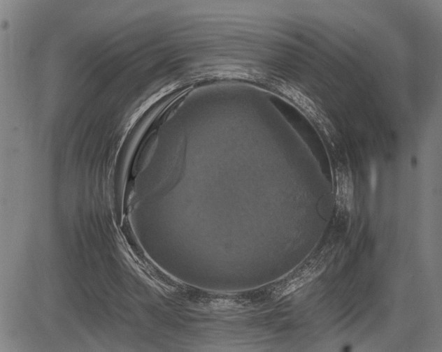 X0000085270390200703091357