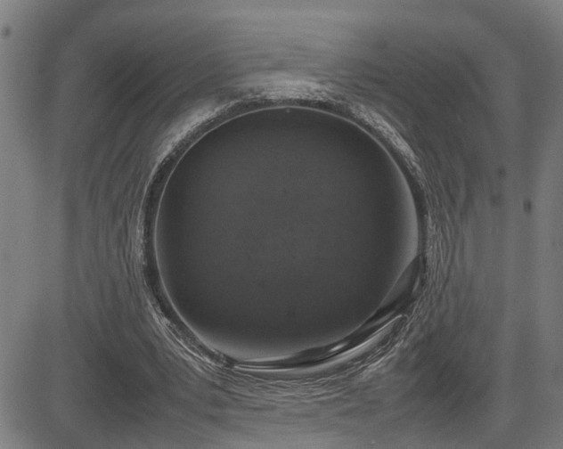 X0000085270391200703091357