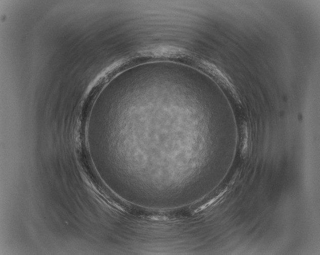 X0000085270392200703091357