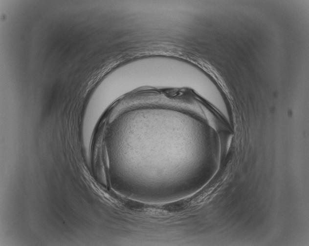 X0000085270393200703091357