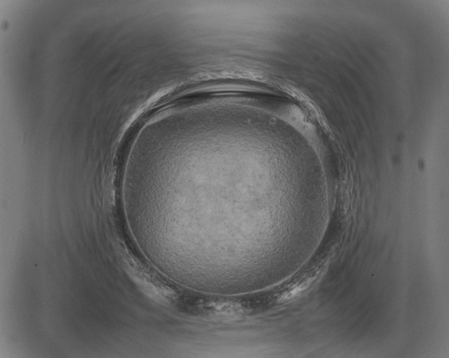 X0000085270395200703091357