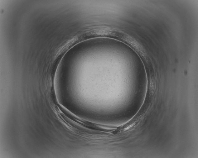 X0000085270397200703091357