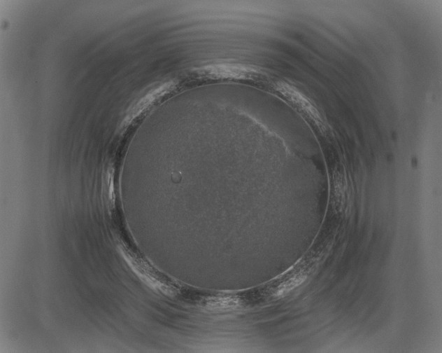 X0000085270398200703091357