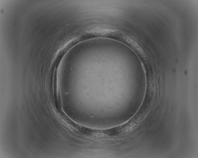 X0000085270399200703091357