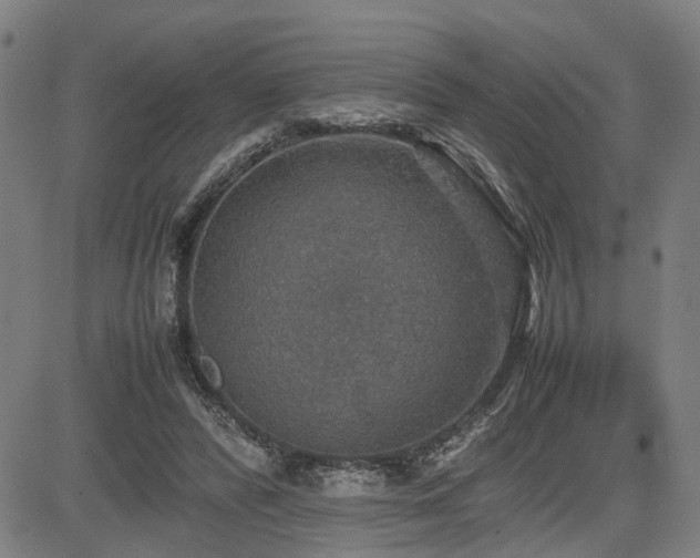 X0000085270400200703091357