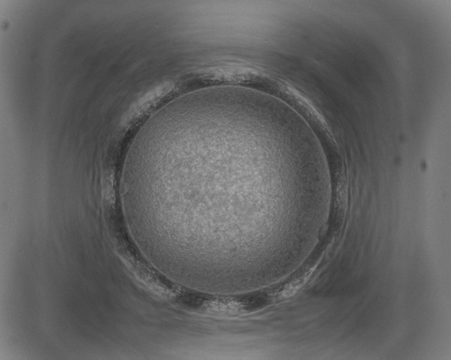 X0000085270403200703091357